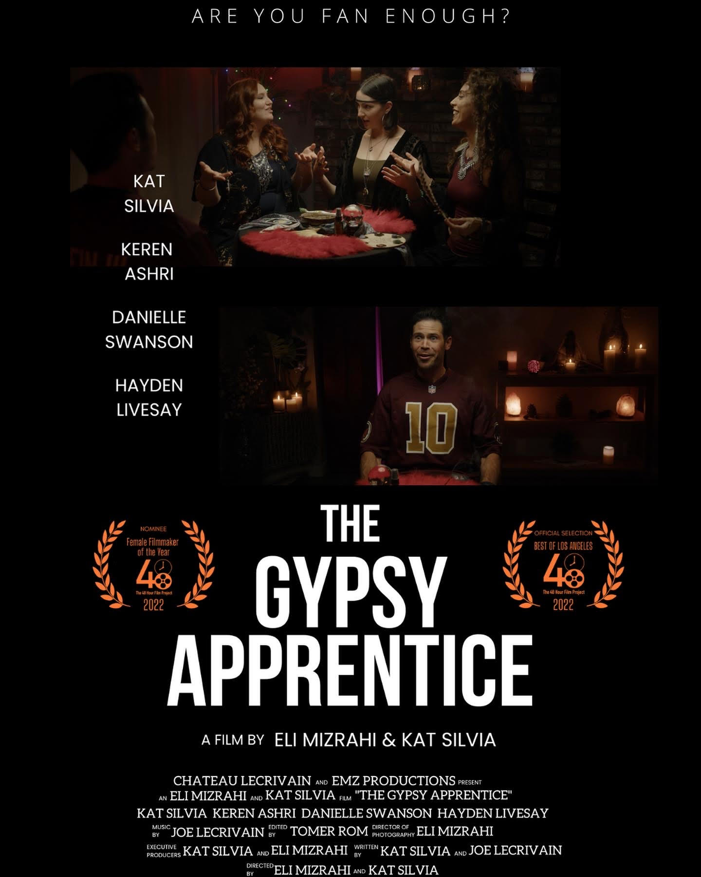 The Gypsy Apprentice poster